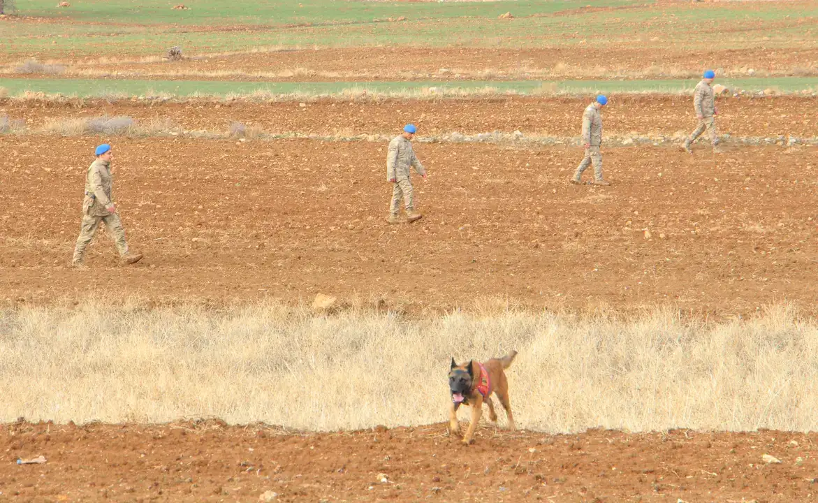 Isparta'da Ferdi Özdemir'in Kesik Başı Aranıyor! 3